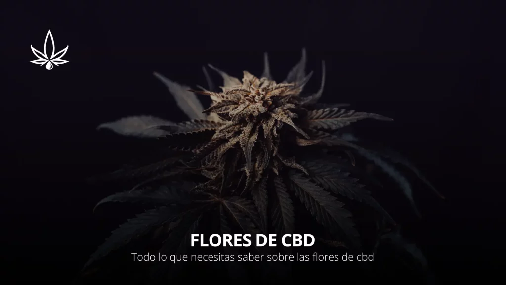 flores de cbd en la tienda de cbd online
