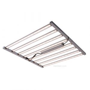 600401 spider king 1000w 05 1