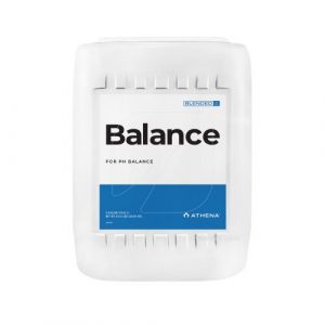 balance5l editada
