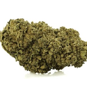 Primer plano de Marihuana CBD white widow de cultivo organico y sostenible